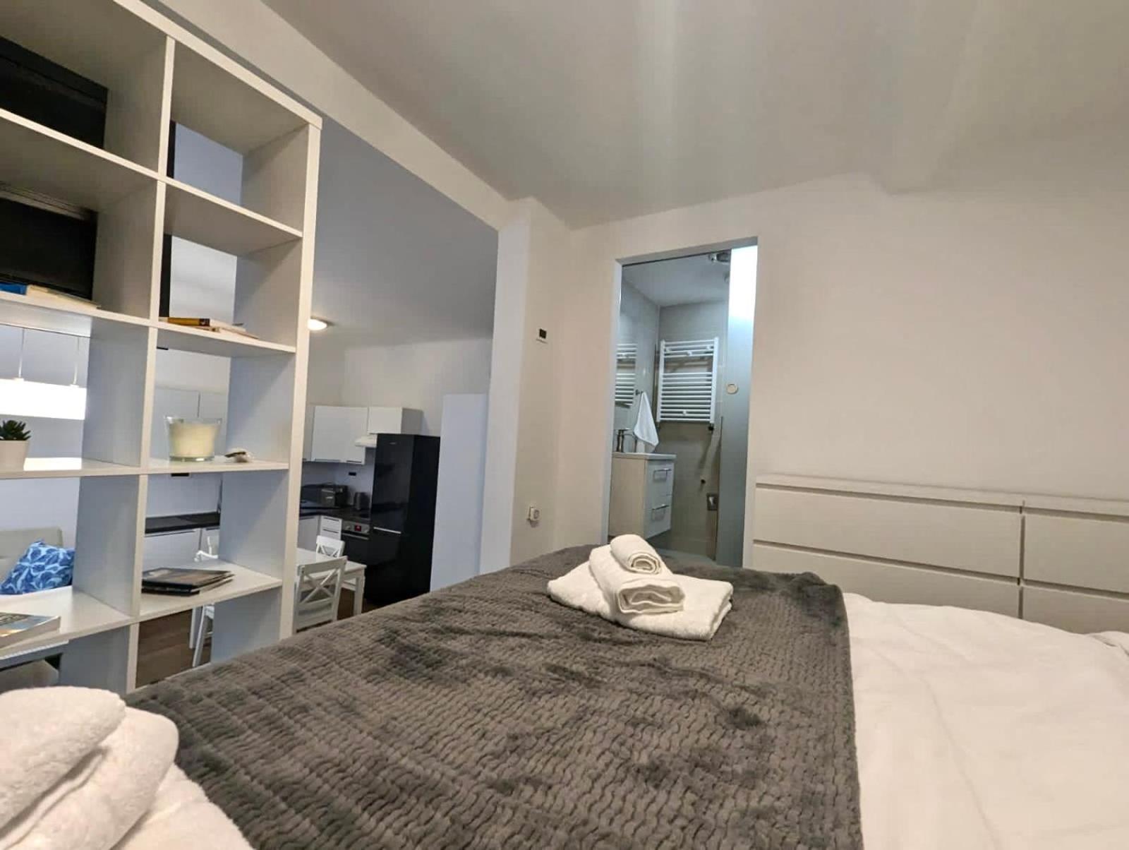 Fantabulous Downtown Abode W King Bed, 65" Tv, Washer And Tumble Dryer Zagreb Exterior photo